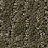 Brown Carpet Flooring - Floor Coverings International Plano